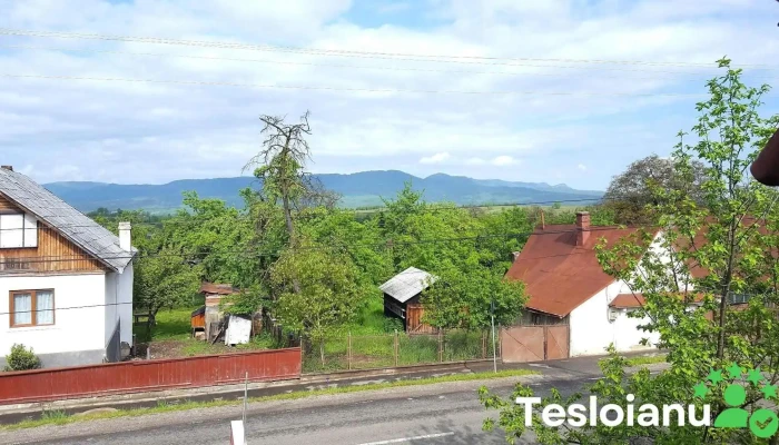 Pensiunea Crystal -  Exterior - Ocna Șugatag