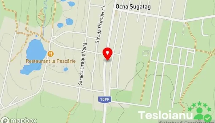 hartă a Pensiunea Crystal Hotel în Ocna Șugatag