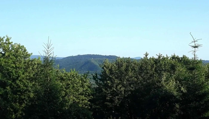 Pensiunea Huta Certeze -  Recenzii - Huta Certeze