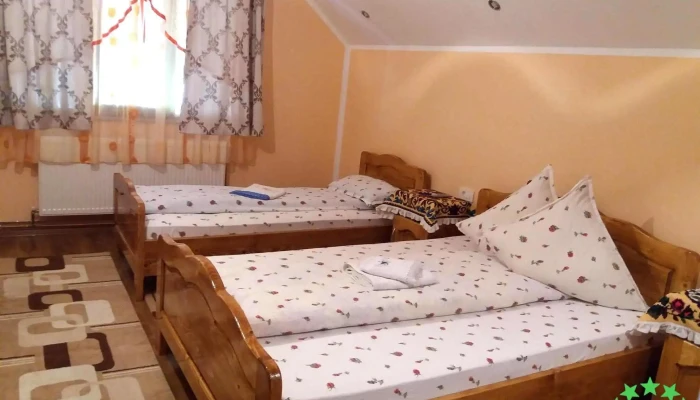 Pensiunea Ioana Din Poiana De La Proprietar - Poienile Izei