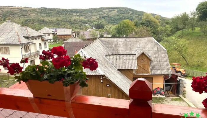 Pensiunea Ioana Din Poiana De La Vizitatori - Poienile Izei