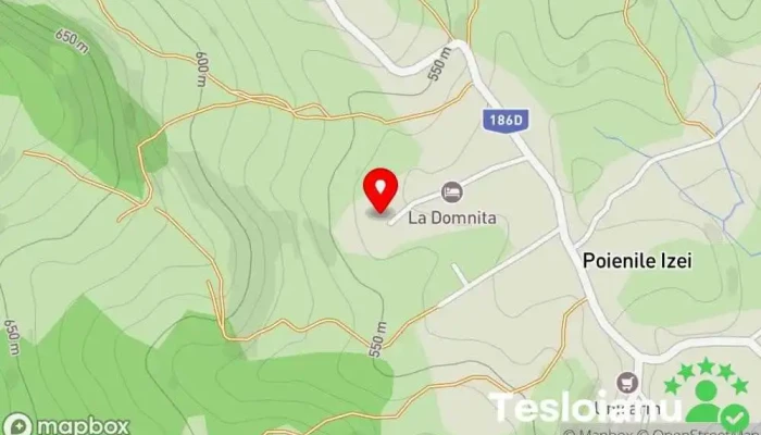 hartă a Pensiunea Ioana din Poiană Pensiune în Poienile Izei