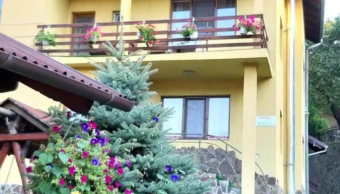 Pensiunea Iulia -  Exterior - Șimleu Silvaniei