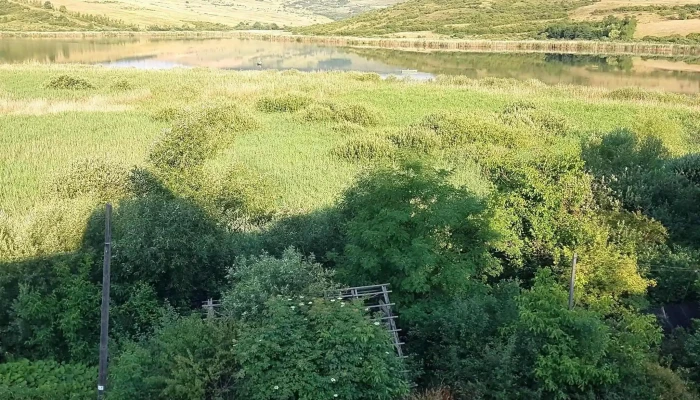 Pensiunea Lacul Stiucii -  Recenzii - Săcălaia