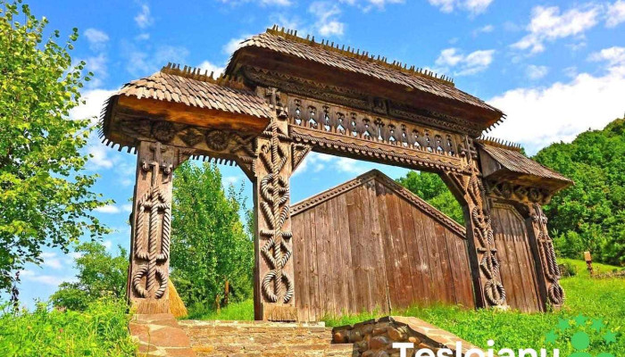 Pensiunea Marea Alpina, Maramures - Ocna Șugatag