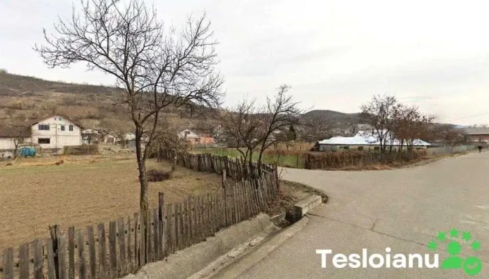 Percu Trans Srl - Chetriș