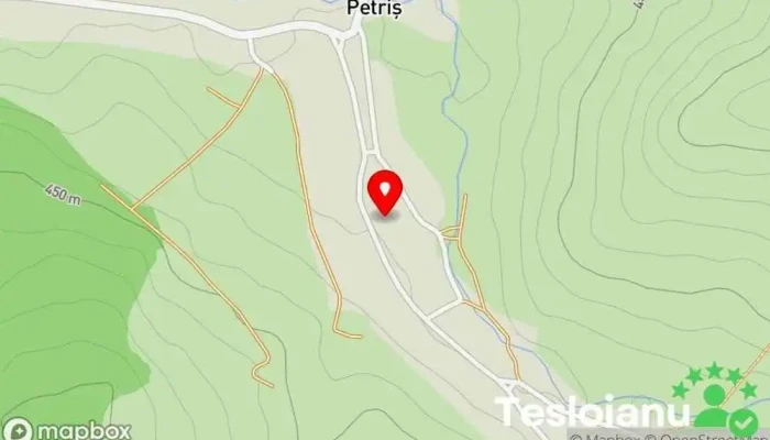 hartă a Petriș  în Petriș