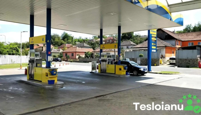 Petrom - Copșa Mică 555400