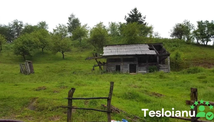 Petrova - Petrova
