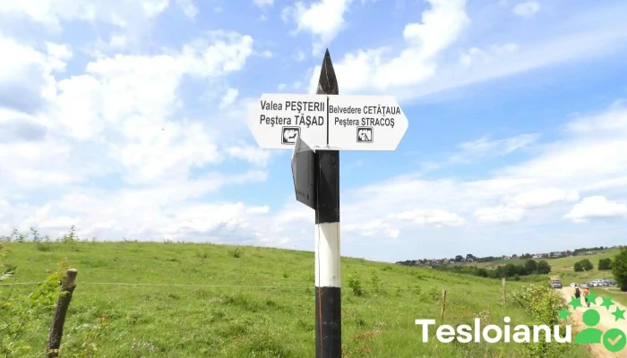 Peştera de la Tăşad - Dc190