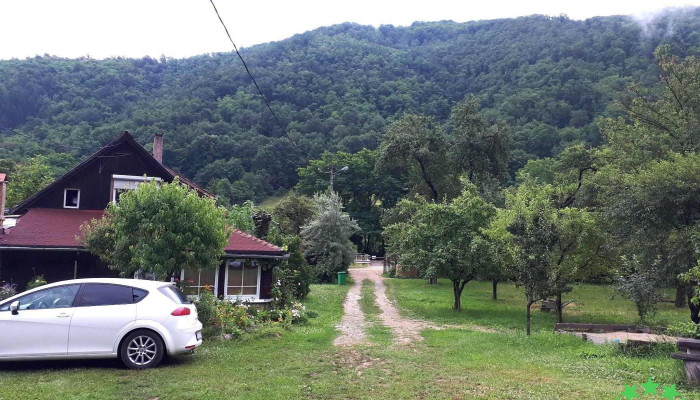 Pianu De Sus -  Promoție - Pianu De Sus