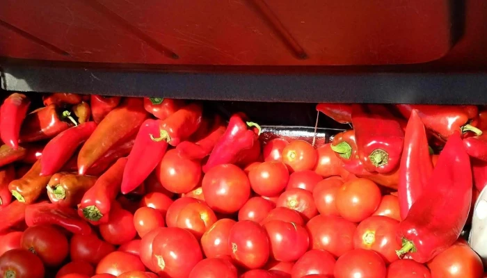 Piata Agricola Pucheni Unde - Puchenii Mari