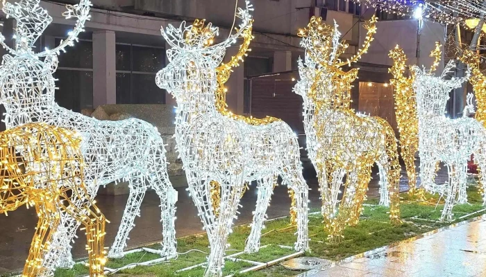 Piata Ovidiu Scor - Constanța