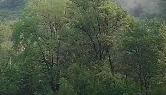 Piatra Neamt Videoclipuri - Piatra Neamț