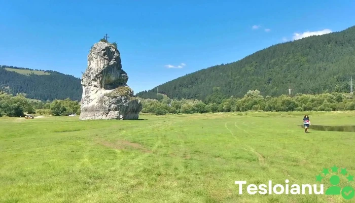 Piatra Teiului Piatra Dracului Videoclipuri - Poiana Teiului