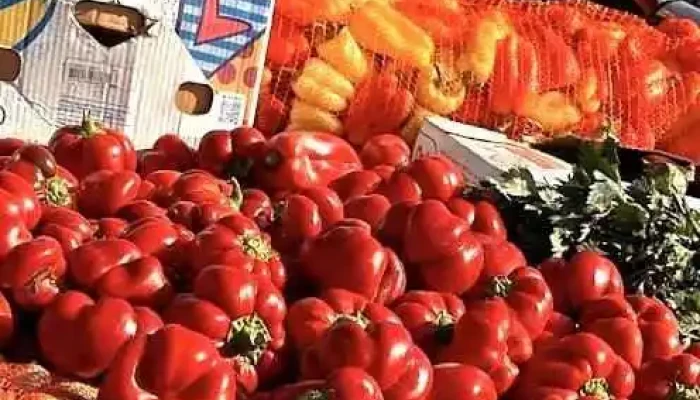 Piața agricolă Pucheni - Puchenii Mari
