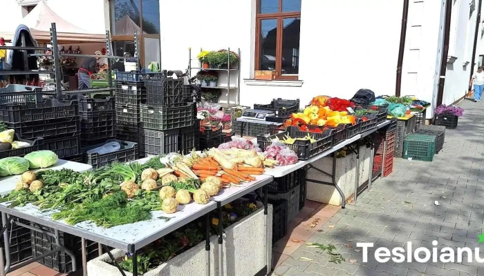 Piața Agroalimentară Jimbolia - Jimbolia