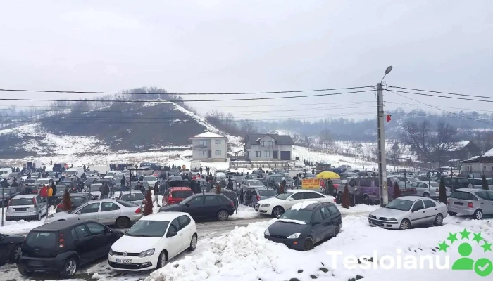 Piața Auto Livezile - Livezile 427120