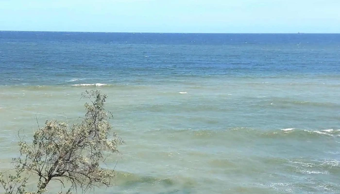 Plaja Steaua De Mare -  Videoclipuri - Eforie Nord
