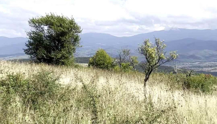Platoul Vascau Aproape De Mine - Romania