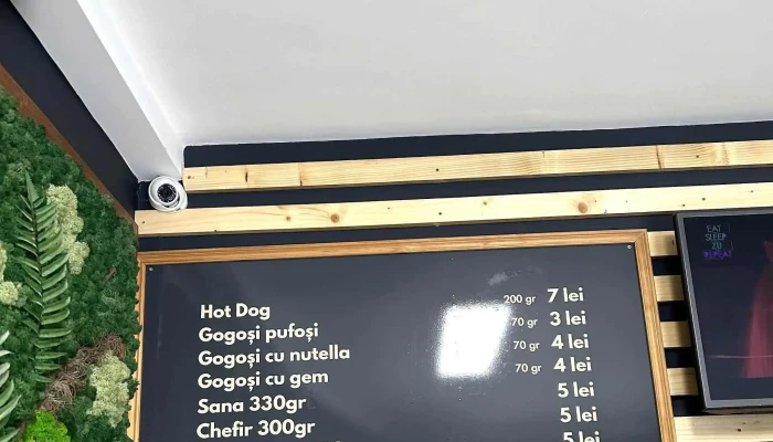 Plita Codreneasca -  Comentarii - Satu Mare