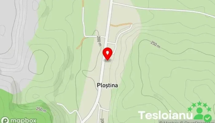 hartă a Ploștina  în Ploștina