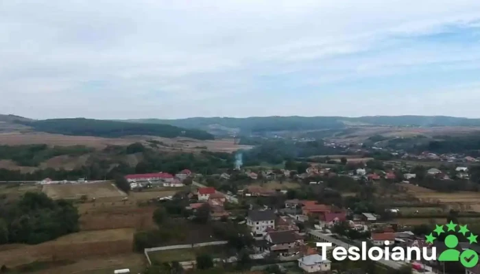 Poiana -  Adresă - Poiana