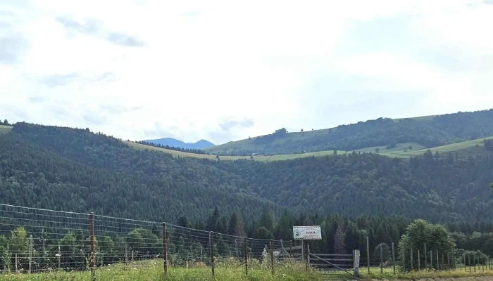 Poiana Catunenilor Aproape De Mine - Ivăneasa