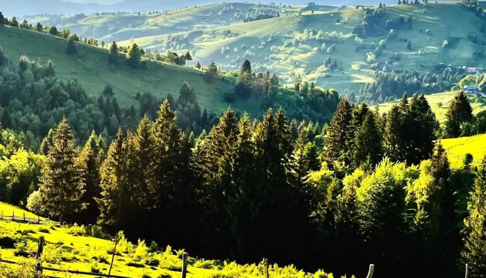 Poiana Catunenilor Deschis Acum - Ivăneasa