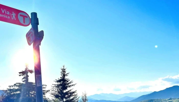 Poiana Catunenilor Ivăneasa - Ivăneasa