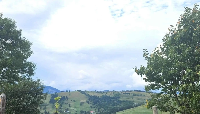 Poiana Catunenilor Program - Ivăneasa