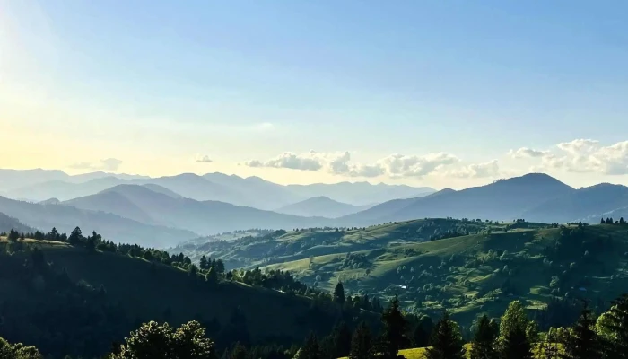 Poiana Catunenilor Scor - Ivăneasa