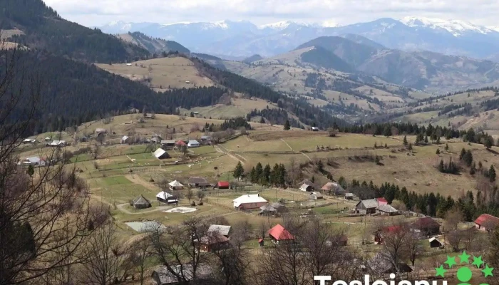 Poiana Cătunenilor - Ivăneasa