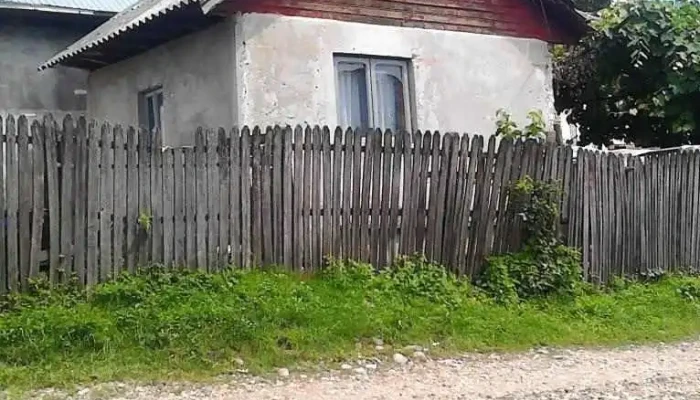 Poiana - Poiana