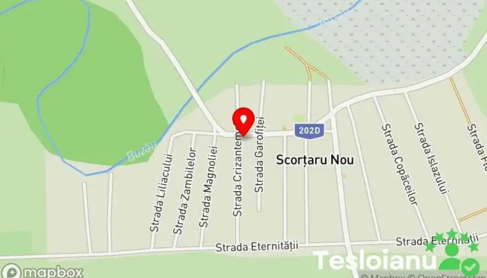 hartă a POLIŢIA SCORŢARU NOU Secție de poliție în Scorțaru Nou