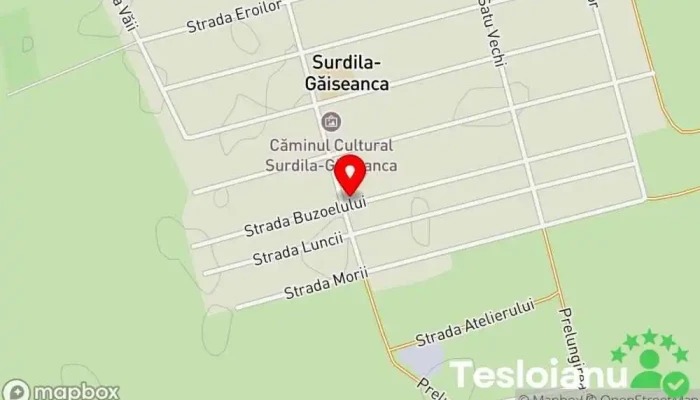 hartă a Poliția Surdila-Găiseanca Poliția civilă în Surdila-Găiseanca