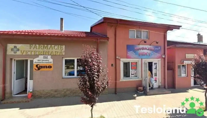 Poliţia Răducăneni - România