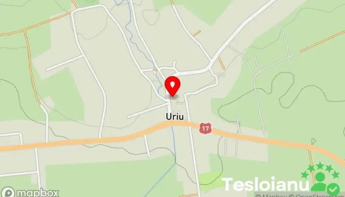 Poliţia Uriu - România