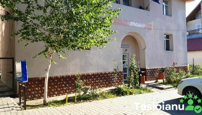 Poliția Orăşenească Târgu Frumos - Târgu Frumos 705300