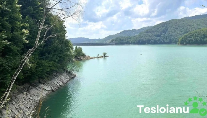 Popas Viaduct -  De La Vizitatori - Brebu Mănăstirii
