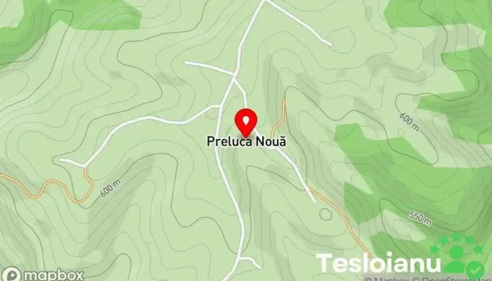 hartă a Preluca Nouă  în Preluca Nouă
