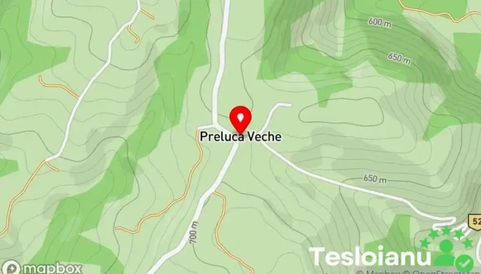 hartă a Preluca Veche  în Preluca Veche