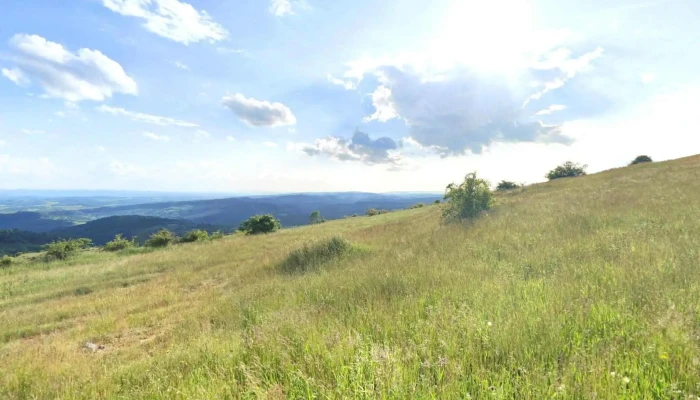 Preluca Veche -  Street View Si 360deg - Preluca Veche