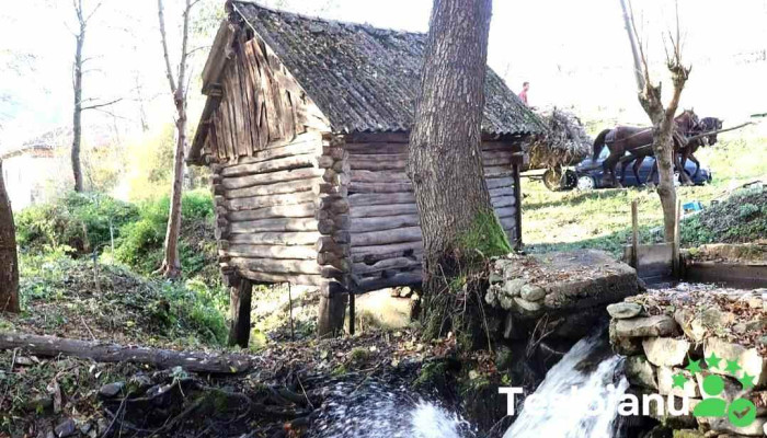 Prigor -  Fotografii - Prigor