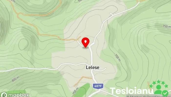 hartă a Primăria Lelese Primărie în Lelese
