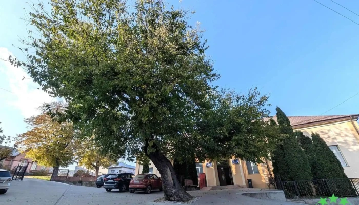 Primaria Luizi Calugara Peisaj - Luizi-călugăra