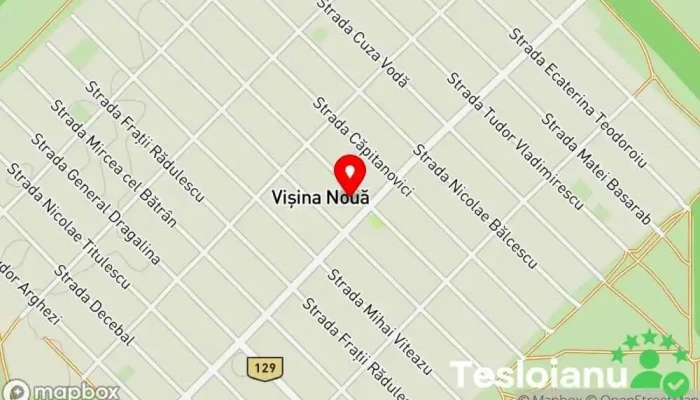 hartă a Primăria Vişina Nouă Primărie în Vișina Nouă