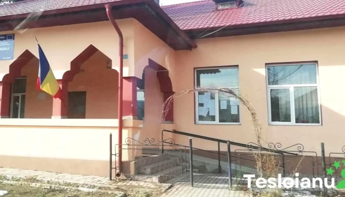 Primăria Buhoci - România