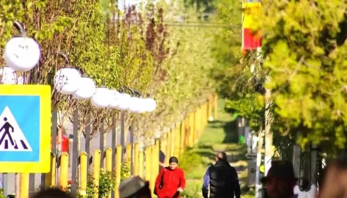Primăria Comunei Coarnele Caprei - Coarnele Caprei 707100