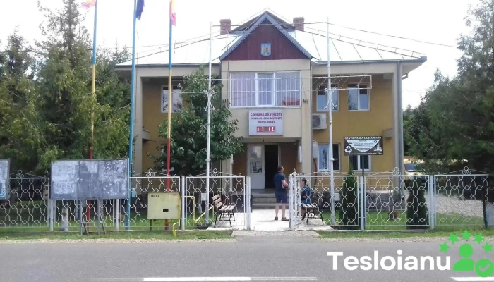 Primăria Comunei Săvinești - Săvinești 617410